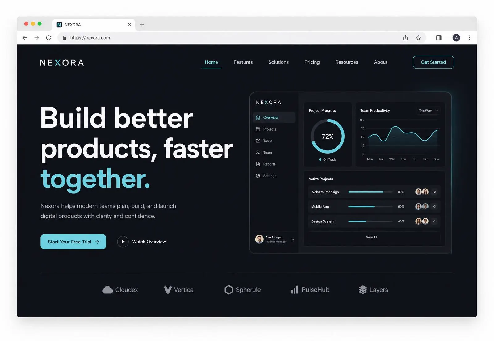 Pulse Launch website preview